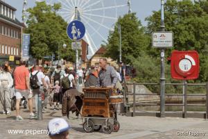 PED1848